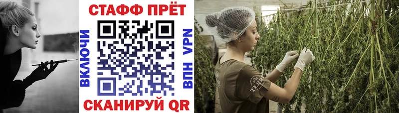 Как найти наркотики Алапаевск Канабис  Alpha-PVP  Галлюциногенные грибы  Бутират  КЕТАМИН  Кокаин  ГАШИШ  Мефедрон 