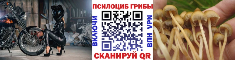 MEGA рабочий сайт  Алапаевск  Псилоцибиновые грибы мухоморы 